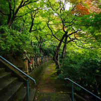 NIKON(ニコン)のレンズ Ai Nikkor 24mm f/2.8S で撮影した写真