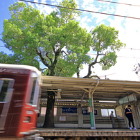 SIGMA(シグマ)のレンズ 10-20mm F4-5.6 EX DC HSM (ｷﾔﾉﾝ AF) で撮影