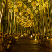 セレクト写真集 2