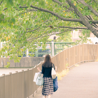 SIGMA(シグマ)のレンズ 100-400mm F5-6.3 DG OS HSM [ニコン用] で撮影