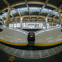 SIGMA(シグマ)のレンズ 8mm F4 EX DG CIRCULAR FISHEYE (ｷﾔﾉﾝ AF) で