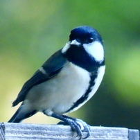 CANON(キヤノン)のデジタルカメラPowerShot SX70 HS で撮影した写真