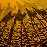 OLYMPUS(オリンパス)のデジタルカメラOLYMPUS STYLUS XZ-2 で撮影した