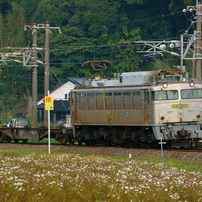 SONY(ソニー)のミラーレス一眼α NEX-5R で撮影した写真(画像)一覧