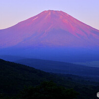 NIKON(ニコン)のレンズ AF-S DX Zoom-Nikkor 18-70mm f/3.5-4.5G IF-ED