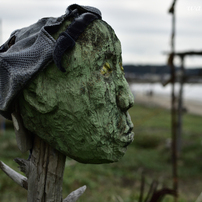 NIKON(ニコン)のレンズ AF-S DX NIKKOR 35mm f/1.8G で撮影した写真