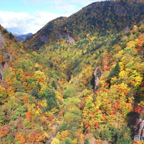 PENTAX(ペンタックス)のレンズ FA645ズーム 45～85mmF4.5 で撮影した