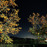 OLYMPUS(オリンパス)のレンズ M.ZUIKO DIGITAL ED 7-14mm F2.8 PRO で