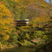 NIKON(ニコン)のデジタル一眼D5600 で撮影した写真(画像)一覧(10ページ