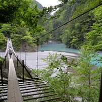 AF VR-NIKKOR 80-400mm 1:4.5-6.5D ED 作例有 交換レンズ実写ギャラリー：ニコンAF-S NIKKOR 80-400mm F4.5-5.6 G ED