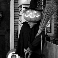 NIKON(ニコン)のレンズ 1 NIKKOR VR 10-30mm f/3.5-5.6 PD-ZOOM