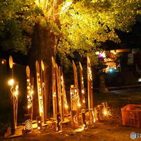 OLYMPUS(オリンパス)のレンズ M.ZUIKO DIGITAL ED 12mm F2.0 [ブラック