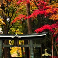 PANASONIC(パナソニック)のデジタルカメラLUMIX DMC-TZ85 で撮影した