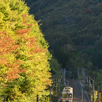 SIGMA(シグマ)のレンズ 70-200mm F2.8 DG OS HSM [ニコン用] で撮影