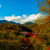 SONY(ソニー)のレンズ FE 20mm F1.8 G SEL20F18G で撮影した写真(画像
