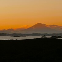 PANASONIC(パナソニック)のデジタルカメラLUMIX DMC-FZ1000 で撮影した