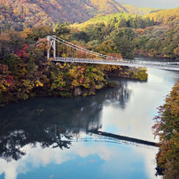 NIKON(ニコン)のデジタル一眼D750 で撮影した写真(画像)一覧- 写真共有