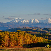 NIKON(ニコン)のレンズ AF-S NIKKOR 28-300mm f/3.5-5.6G ED VR で撮影