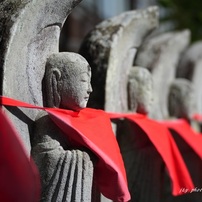 最近のトレンド入り(20枚）