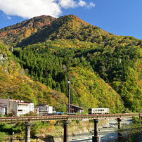 SIGMA(シグマ)のレンズ 70-200mm F2.8 DG OS HSM [ニコン用] で撮影