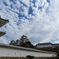 CANON(キヤノン)のデジタルカメラPowerShot SX740 HS で撮影した写真