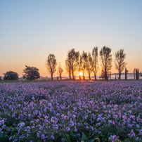 OLYMPUS(オリンパス)のレンズ M.ZUIKO DIGITAL ED 12-45mm F4.0 PRO で