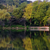 ✨極美品✨ニコン D7200 ボディ❤️わずか9,254ショット！ ✨極美品✨ニコン D7200 Wズーム❤️スマホ転送◎❤️望遠レンズ付きで