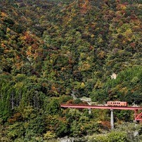 [良品/作例] Nikon AF-S 18-200mm f3.5-5.6G ED AF-S DX NIKKOR 18-200mm f/3.5-5.6G ED VR IIで撮影された写真 | 写真