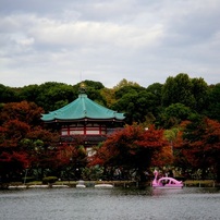 SONY(ソニー)のデジタルカメラサイバーショット DSC-T900 で撮影した