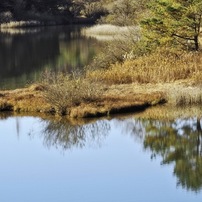 OLYMPUS(オリンパス)のレンズ M.ZUIKO DIGITAL ED 14-150mm F4.0-5.6