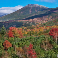 CANON(キヤノン)のレンズ EF70-300mm F4-5.6L IS USM で撮影した写真