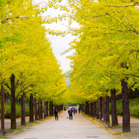 ショット数2002回✨Olympus E-510 発表会 野外撮影に❣️ Olympus E-510 Review - Optics - Imaging Resource