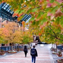 Fujifilm finepix X100 富士フィルム 稼働品(初代) 作例 FUJIFILM（フジフイルム） X100 実写レビュー | フォトヨドバシ