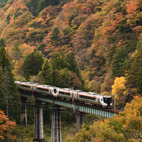 SIGMA(シグマ)のレンズ 70-200mm F2.8 DG OS HSM [ニコン用] で撮影