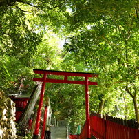 PANASONIC(パナソニック)のデジタルカメラLUMIX DMC-FZ1000 で撮影した