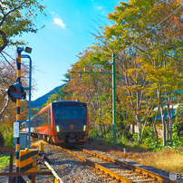 紅葉列車