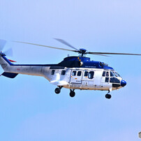 SIGMA(シグマ)のレンズ APO 150-500mm F5-6.3 DG OS HSM (ﾆｺﾝ用) で