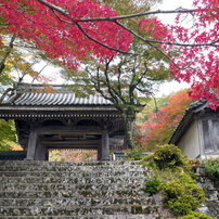 CANON(キヤノン)のレンズ EF-S10-18mm F4.5-5.6 IS STM で撮影した写真