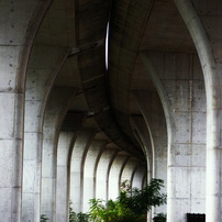 RICOH(リコー)のデジタルカメラCX3 で撮影した写真(画像)一覧- 写真