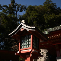 【作例あり】AI Nikkor 24mm F2S オールドレンズ】現役の広角レンズ「Ai NIKKOR 24mm f2.8」実写