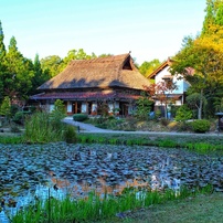 CANON(キヤノン)のデジタル一眼EOS Kiss X5 で撮影した写真(画像)一覧