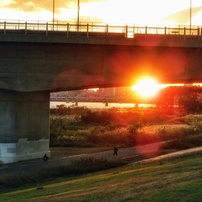 OLYMPUS(オリンパス)のデジタルカメラu1060,S1060 で撮影した写真(画像