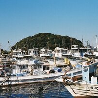 NIKON(ニコン)のフィルムカメラNikomat FTN で撮影した写真(画像)一覧