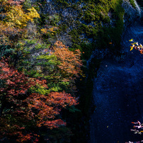 TAMRON(タムロン)のレンズ 70-300mm F/4.5-6.3 Di III RXD (Model A047