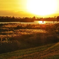 OLYMPUS(オリンパス)のデジタルカメラu1060,S1060 で撮影した写真(画像