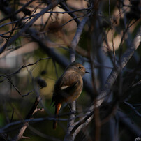 ご無沙汰していました
