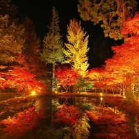 PENTAX(ペンタックス)のレンズ HD PENTAX-DA☆ 11-18mmF2.8ED DC AW で