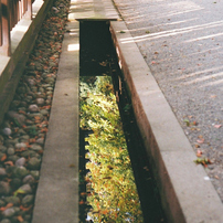 NIKON(ニコン)のフィルムカメラNikomat FTN で撮影した写真(画像)一覧