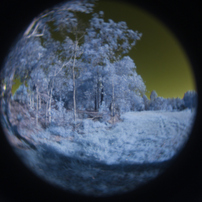 PANASONIC(パナソニック)のミラーレス一眼LUMIX DMC-GF3 で撮影した