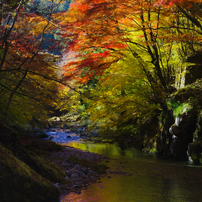 TAMRON(タムロン)のレンズ SP AF 28-75mm F/2.8 XR Di LD Aspherical